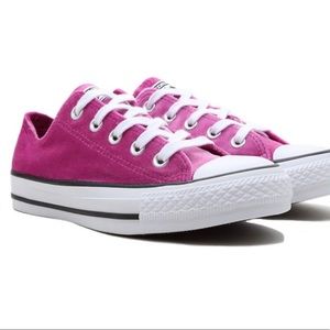 NWT Pink Sapphire Converse